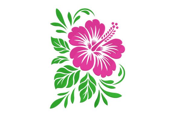 Beautiful Hibiscus Flower: An Etsy Seller’s Review