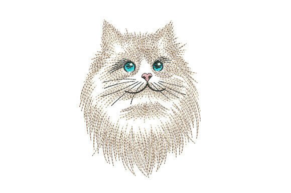 Fluffy Himalayan Cat Portrait: Apparel Design Review